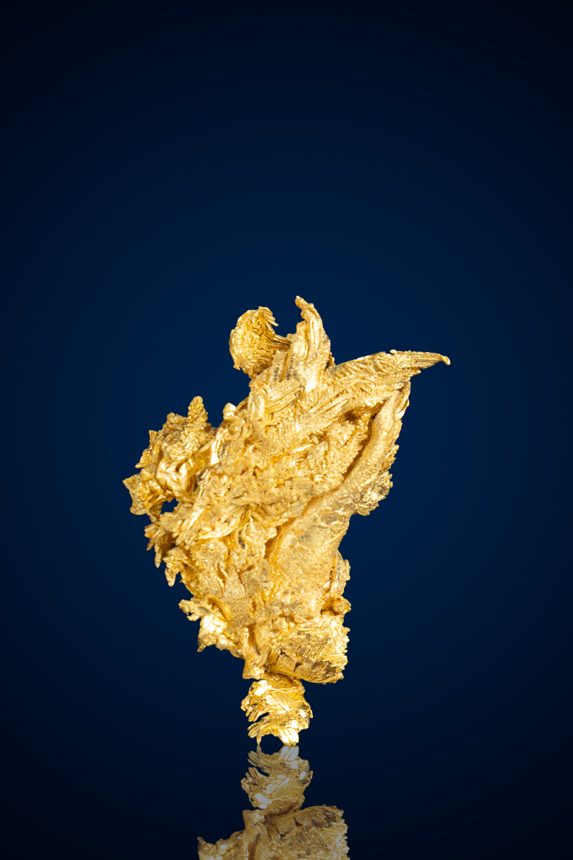 Exceptional, Sharp Crystallized Gold Nugget - Round Mountain, NV - 1.39 grams (image for) Exceptional, Sharp Crystallized Gold Nugget - Round Mountain, NV - 1.39 grams